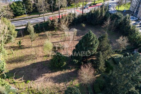 Helårsgrund i Guimaraes, Braga, Guimaraes - € 3.250.000 | Ref: 051332 - foto 5