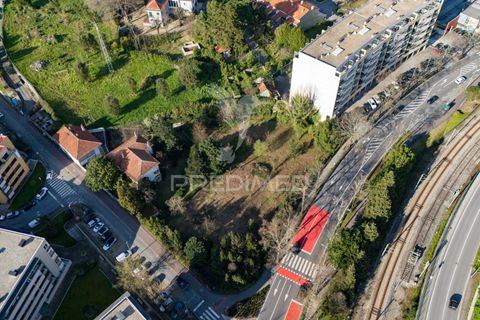 Helårsgrund i Guimaraes, Braga, Guimaraes - € 3.250.000 | Ref: 051332 - foto 11