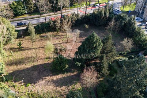 Helårsgrund i Guimaraes, Braga, Guimaraes - € 3.250.000 | Ref: 051332 - foto 16