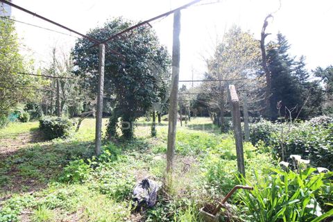 Helårsgrund i Guimaraes, Braga, Guimaraes - € 3.250.000 | Ref: 051332 - foto 23