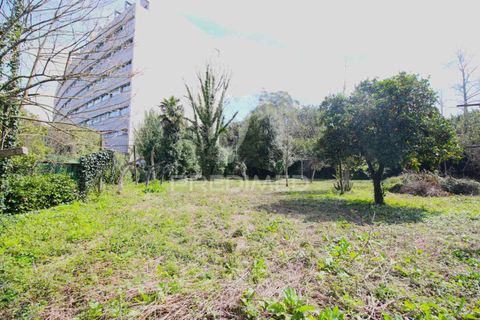 Helårsgrund i Guimaraes, Braga, Guimaraes - € 3.250.000 | Ref: 051332 - foto 24