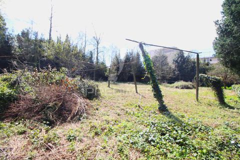 Helårsgrund i Guimaraes, Braga, Guimaraes - € 3.250.000 | Ref: 051332 - foto 25