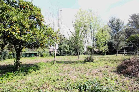 Helårsgrund i Guimaraes, Braga, Guimaraes - € 3.250.000 | Ref: 051332 - foto 26