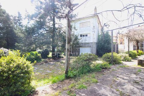 Helårsgrund i Guimaraes, Braga, Guimaraes - € 3.250.000 | Ref: 051332 - foto 27