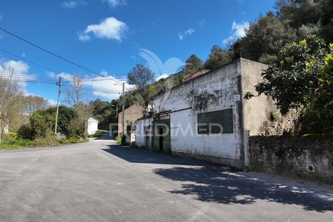 Byhus i Santarem, Santarem, Santarem - € 68.000 | Ref: 051434 - foto 6