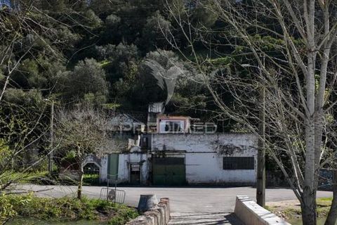 Byhus i Santarem, Santarem, Santarem - € 68.000 | Ref: 051434 - foto 16