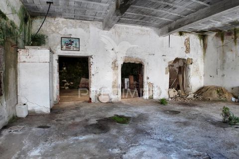 Byhus i Santarem, Santarem, Santarem - € 68.000 | Ref: 051434 - foto 29