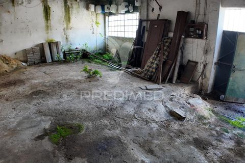 Byhus i Santarem, Santarem, Santarem - € 68.000 | Ref: 051434 - foto 36