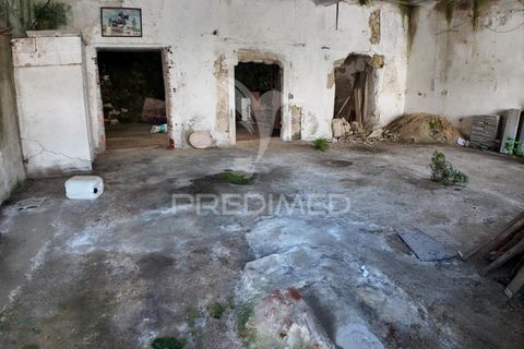 Byhus i Santarem, Santarem, Santarem - € 68.000 | Ref: 051434 - foto 39