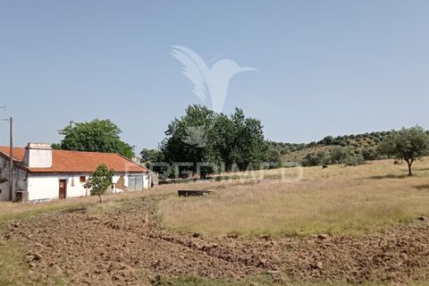 Farm hus i Mora, Evora, Mora - € 149.000 | Ref: 051457 - foto 2