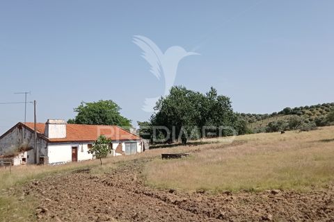 Farm hus i Mora, Evora, Mora - € 149.000 | Ref: 051457 - foto 3