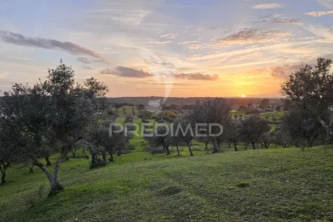 Farm hus i Mora, Evora, Mora - € 149.000 | Ref: 051457 - foto 13