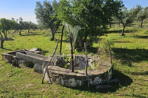 Farm hus i Mora, Evora, Mora - € 149.000 | Ref: 051457 - foto 12