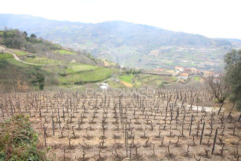 Farm hus i Resende, Viseu, Resende - € 250.000 | Ref: 051509 - foto 5