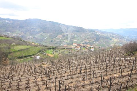 Farm hus i Resende, Viseu, Resende - € 250.000 | Ref: 051509 - foto 6