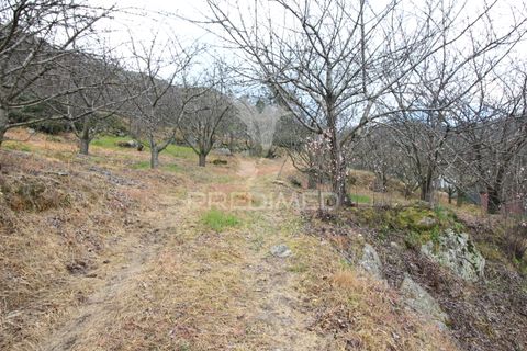 Farm hus i Resende, Viseu, Resende - € 250.000 | Ref: 051509 - foto 7