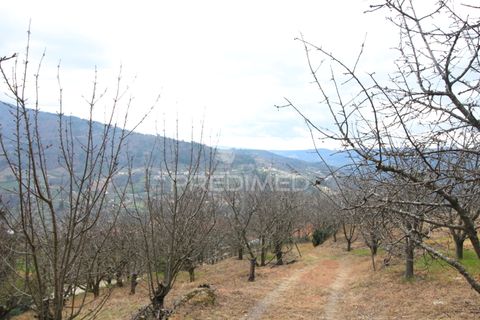 Farm hus i Resende, Viseu, Resende - € 250.000 | Ref: 051509 - foto 8