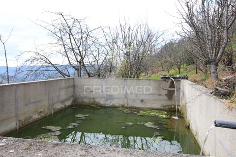 Farm hus i Resende, Viseu, Resende - € 250.000 | Ref: 051509 - foto 9