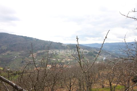 Farm hus i Resende, Viseu, Resende - € 250.000 | Ref: 051509 - foto 11