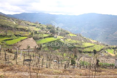 Farm hus i Resende, Viseu, Resende - € 250.000 | Ref: 051509 - foto 12