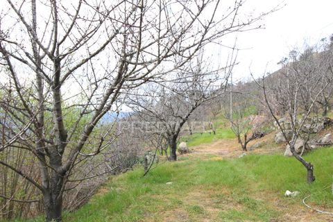 Farm hus i Resende, Viseu, Resende - € 250.000 | Ref: 051509 - foto 13