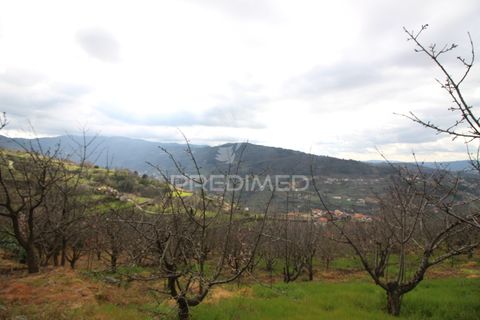 Farm hus i Resende, Viseu, Resende - € 250.000 | Ref: 051509 - foto 14