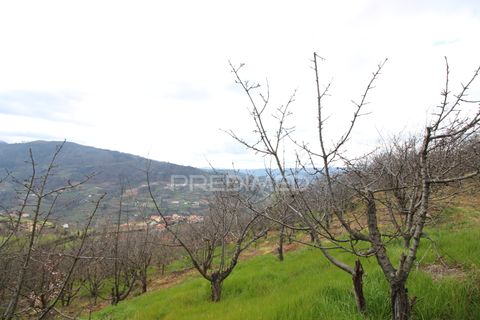 Farm hus i Resende, Viseu, Resende - € 250.000 | Ref: 051509 - foto 15