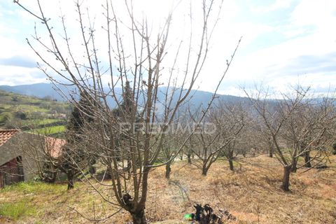 Farm hus i Resende, Viseu, Resende - € 250.000 | Ref: 051509 - foto 16