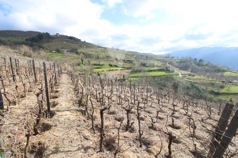 Farm hus i Resende, Viseu, Resende - € 250.000 | Ref: 051509 - foto 17
