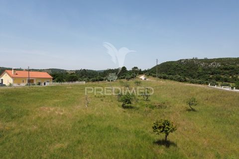 Terra a Alcanena, Santarem, Alcanena - € 45.000 | Ref: 051619 - foto 2