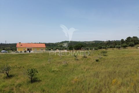 Terra a Alcanena, Santarem, Alcanena - € 45.000 | Ref: 051619 - foto 3