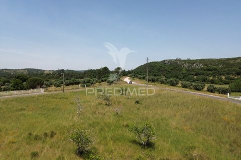Terra a Alcanena, Santarem, Alcanena - € 45.000 | Ref: 051619 - foto 5