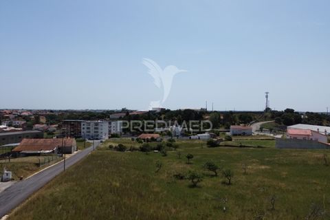 Terra a Alcanena, Santarem, Alcanena - € 45.000 | Ref: 051619 - foto 6