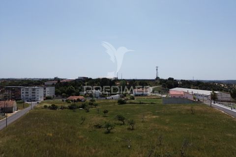 Terra a Alcanena, Santarem, Alcanena - € 45.000 | Ref: 051619 - foto 7