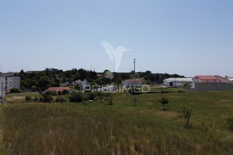 Terra a Alcanena, Santarem, Alcanena - € 45.000 | Ref: 051619 - foto 8