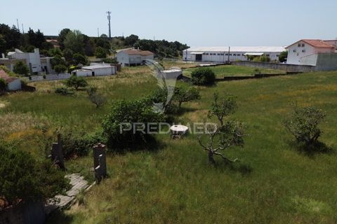 Terra a Alcanena, Santarem, Alcanena - € 45.000 | Ref: 051619 - foto 9