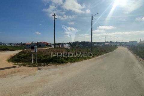 Terra a Alcanena, Santarem, Alcanena - € 45.000 | Ref: 051619 - foto 10