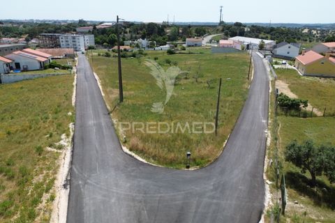 Terra a Alcanena, Santarem, Alcanena - € 45.000 | Ref: 051619 - foto 11