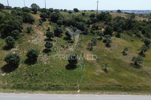 Terra a Alcanena, Santarem, Alcanena - € 7.500 | Ref: 051667 - foto 5