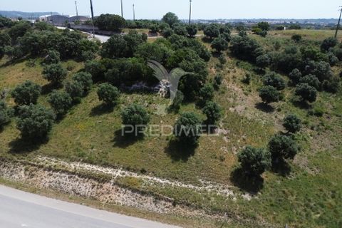Terra a Alcanena, Santarem, Alcanena - € 7.500 | Ref: 051667 - foto 6
