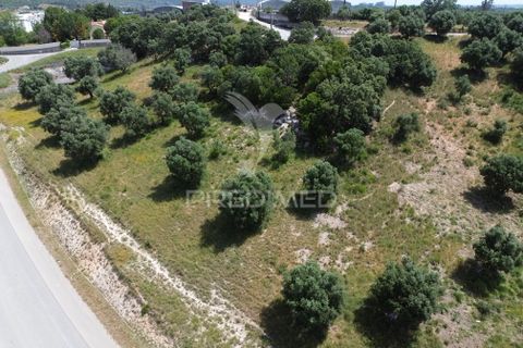 Terra a Alcanena, Santarem, Alcanena - € 7.500 | Ref: 051667 - foto 8