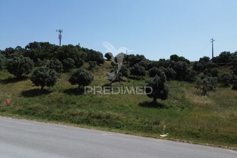 Terra a Alcanena, Santarem, Alcanena - € 7.500 | Ref: 051667 - foto 9