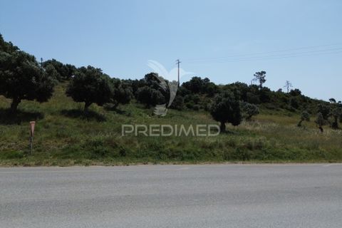 Terra a Alcanena, Santarem, Alcanena - € 7.500 | Ref: 051667 - foto 10