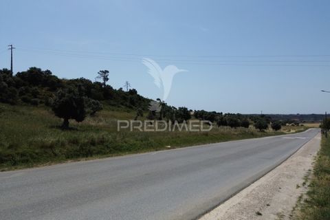 Terra a Alcanena, Santarem, Alcanena - € 7.500 | Ref: 051667 - foto 11