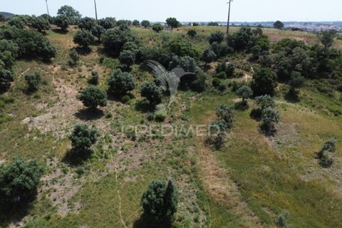 Terra a Alcanena, Santarem, Alcanena - € 7.500 | Ref: 051667 - foto 13