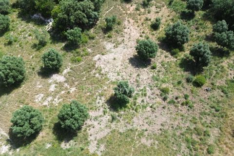Terra a Alcanena, Santarem, Alcanena - € 7.500 | Ref: 051667 - foto 15