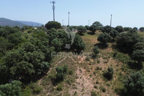 Terra a Alcanena, Santarem, Alcanena - € 7.500 | Ref: 051667 - foto 16