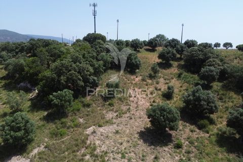 Terra a Alcanena, Santarem, Alcanena - € 7.500 | Ref: 051667 - foto 17