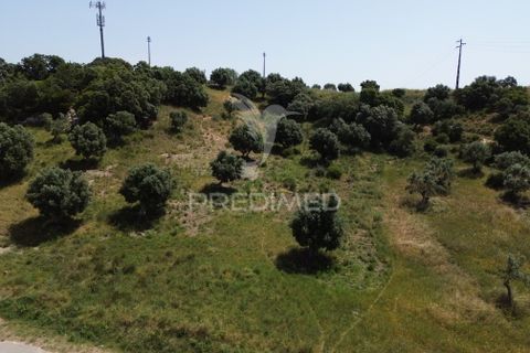 Terra a Alcanena, Santarem, Alcanena - € 7.500 | Ref: 051667 - foto 19