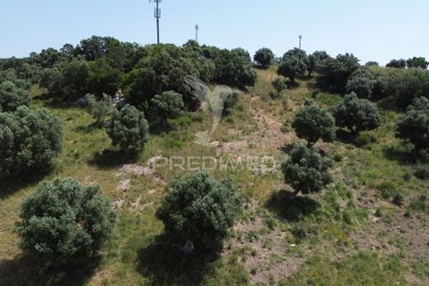Terra a Alcanena, Santarem, Alcanena - € 7.500 | Ref: 051667 - foto 20